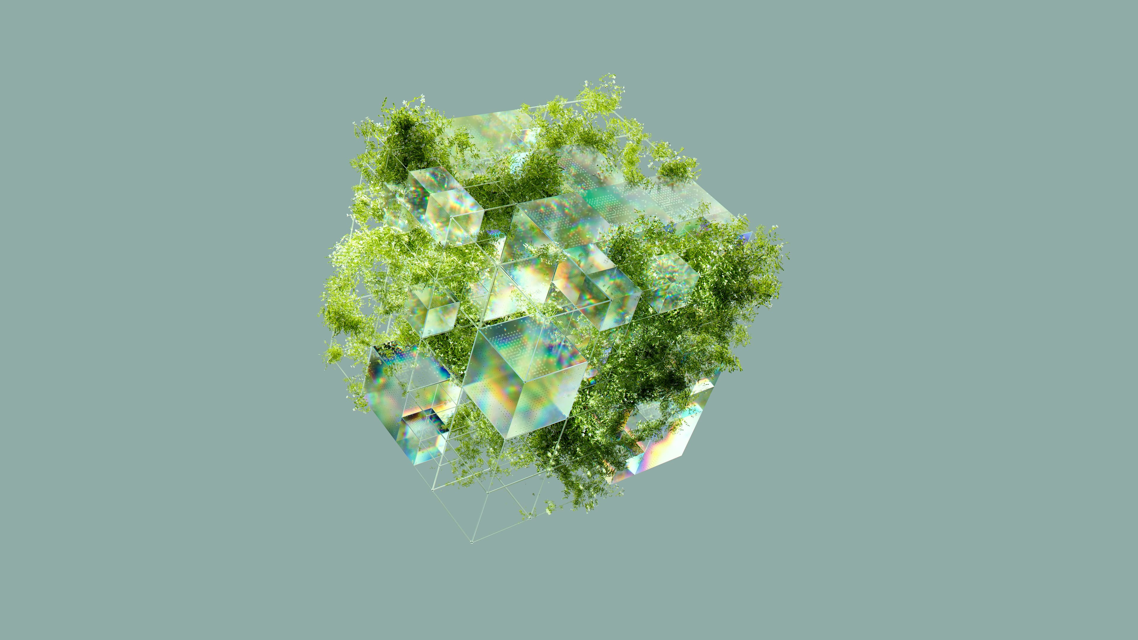Environnement