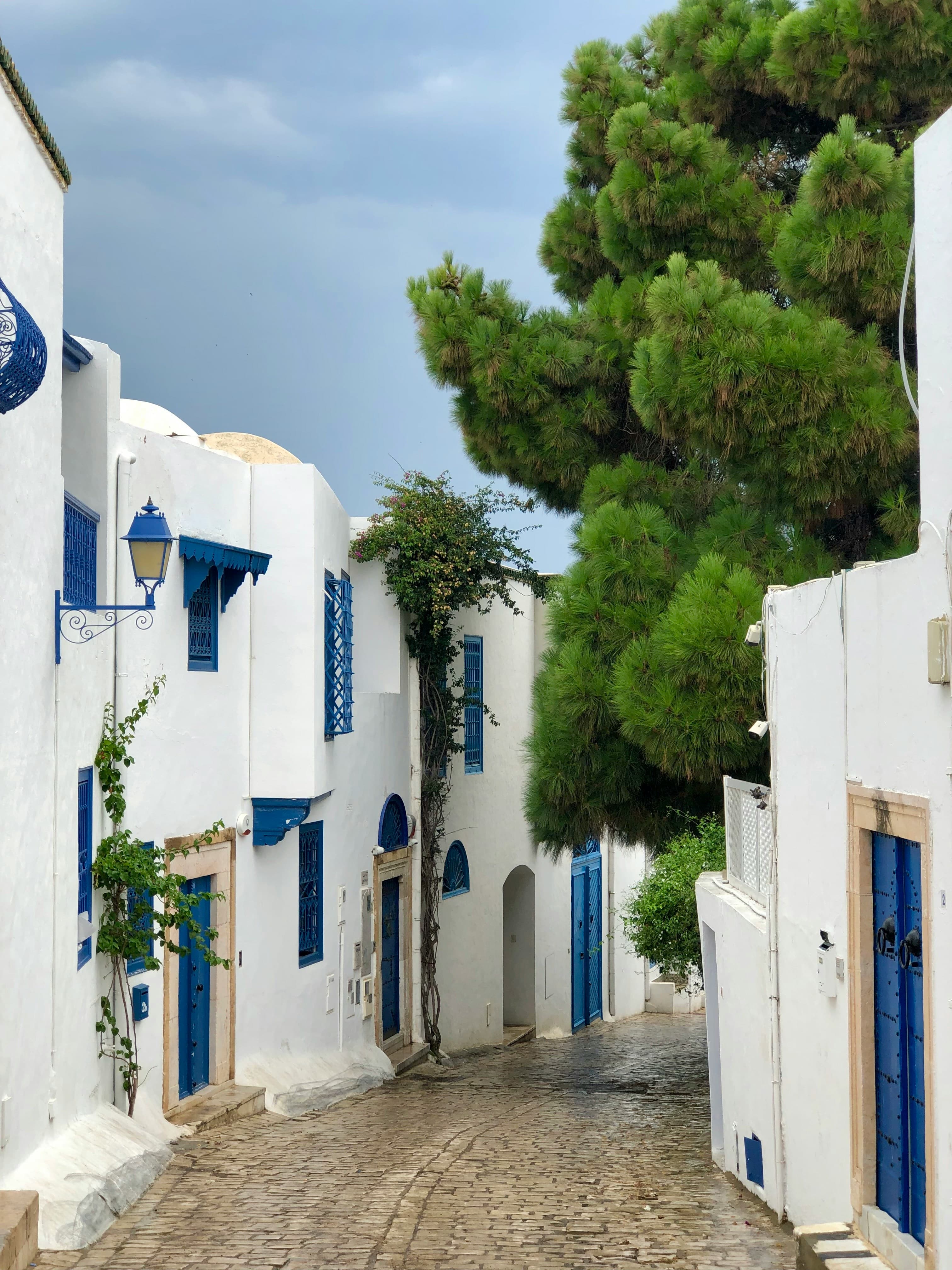 Tunisie 5